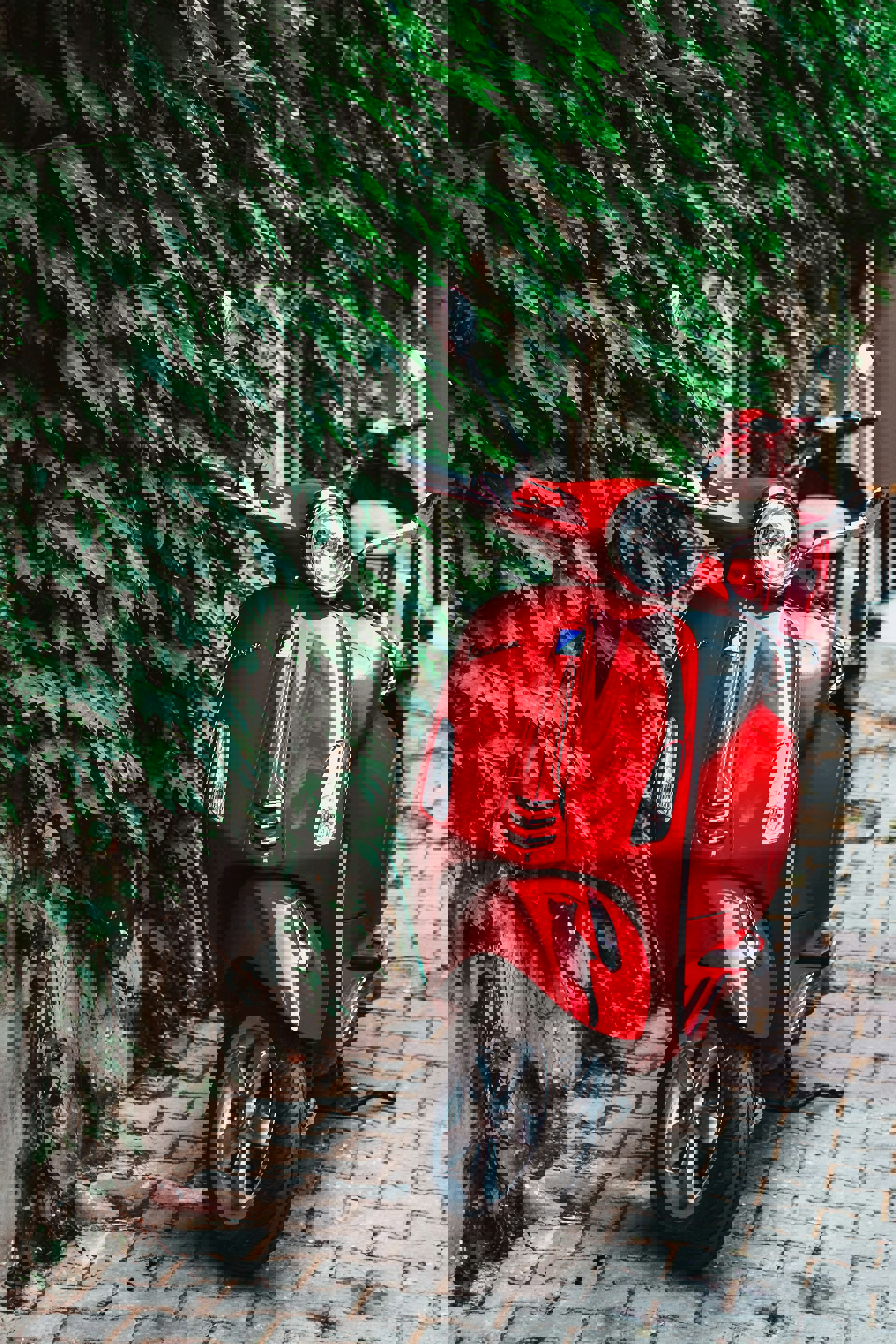 Maria Teneva Dmmkmevzu2o Unsplash